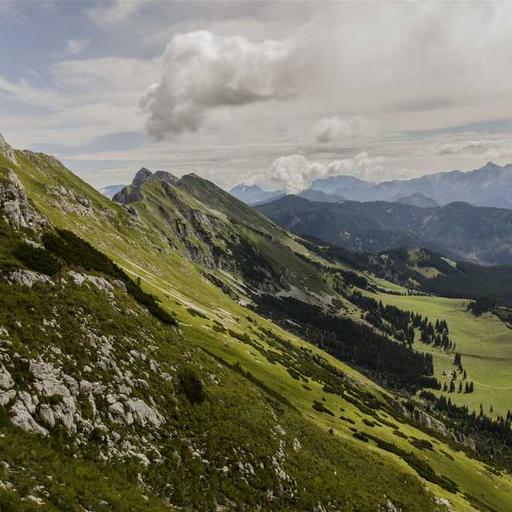 Bagaimana AI Mengubah Cara Manusia Bekerja dan Berpikir