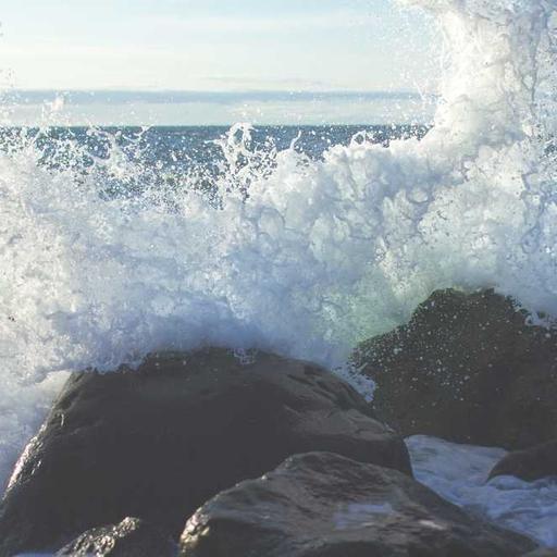 Pentingnya Empati dalam Menjalin Hubungan Antar Manusia