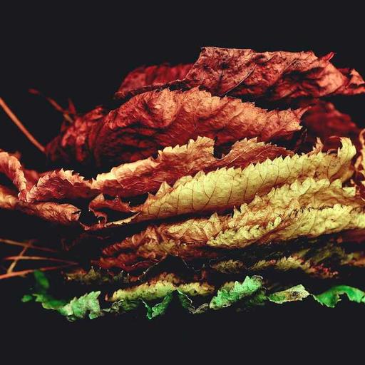 Trik Mengatur Waktu Agar Setiap Hari Lebih Efisien